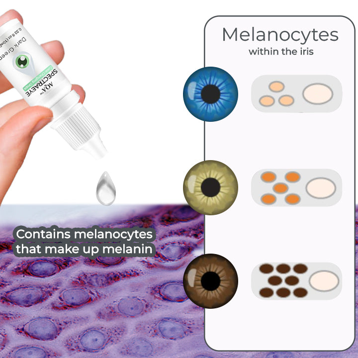 🔥Productos destacados de 2025📣Clear Vision SpectraEye - Gotas para los ojos que cambian de color Pro, ¡brilla con un color de ojos único!