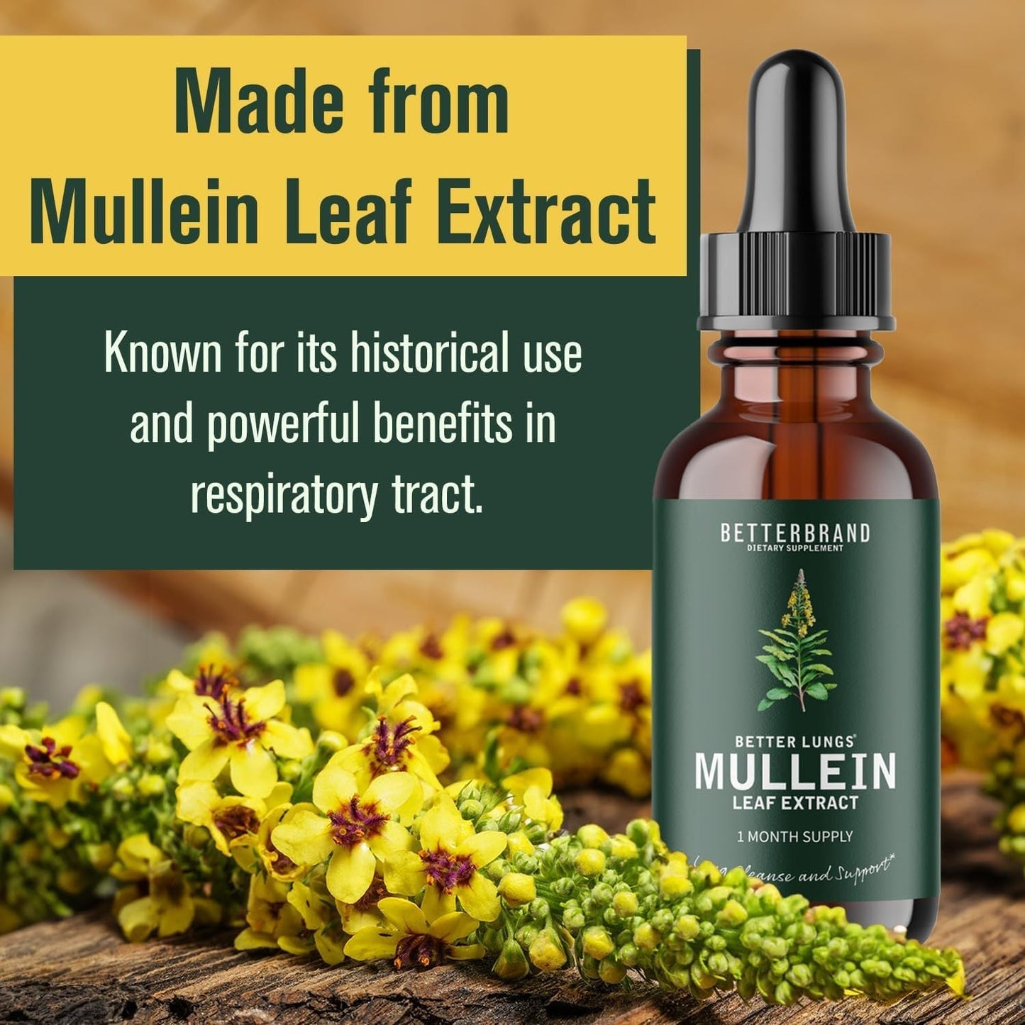 Les gouttes d'extrait de foliope royale et de chlorophylle pour la détoxification pulmonaire, les suppléments nutritionnels