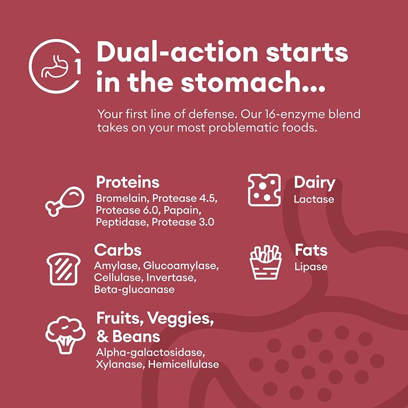 Choix du médecin digestif Eyme avec des probiotiques et des prébiotiques-relief des symptômes et des ballonnements pendant les repas-multi-support pour la digestion et la santé intestinale