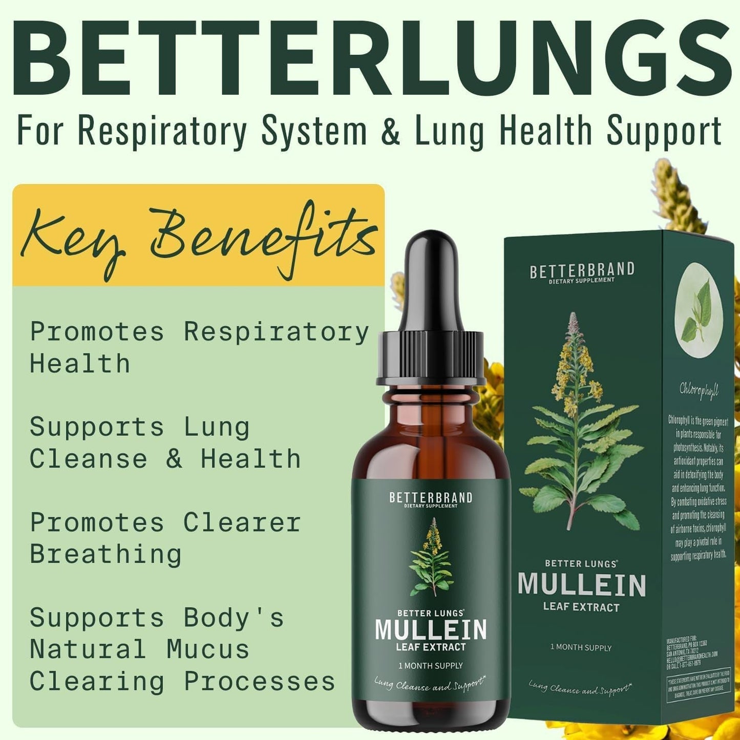 Les gouttes d'extrait de foliope royale et de chlorophylle pour la détoxification pulmonaire, les suppléments nutritionnels