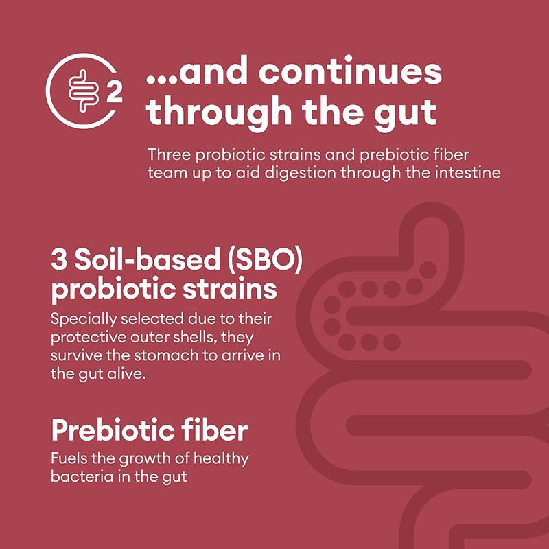 Physician's Choice Digestive EyMe with probiotics and prebiotics-relief of symptoms and bloating during meals-multi-support for digestion and intestinal health