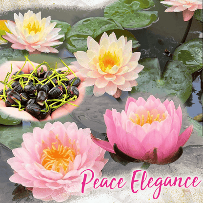 Fleurs de lotus décoratifs