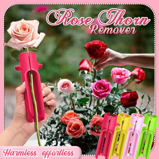 Débover Rosing Remover